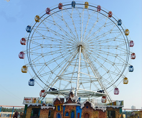 carnival ferris wheel rides