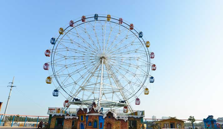 Ferris wheel for medium amusement park 